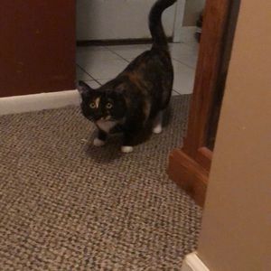 Meet your Posher, Shelly